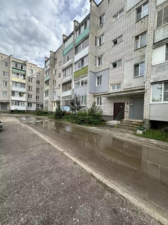 2-к кв. Нижегородская область, Володарский муниципальный округ, ... - Фото 0