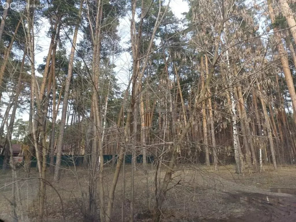 Участок в Тамбов, улица имени Маршала Малиновского (8.5 м) - Фото 1