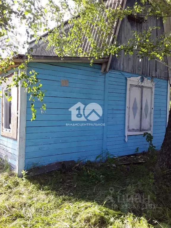 Участок в Новосибирская область, Коченевский район, Термист СНТ 36 ... - Фото 1