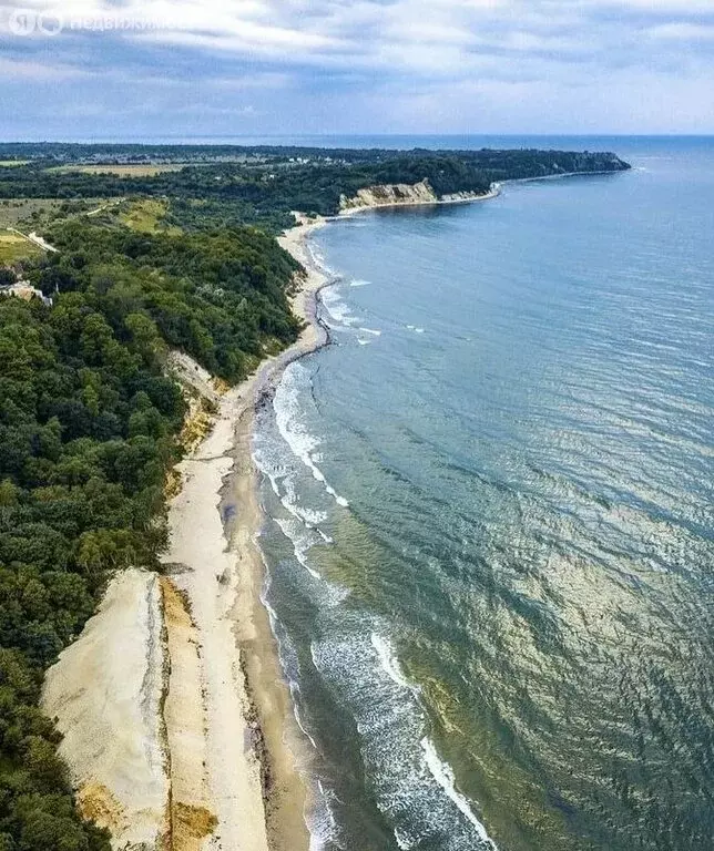 Участок в Калининградская область, Зеленоградский муниципальный округ, ... - Фото 2