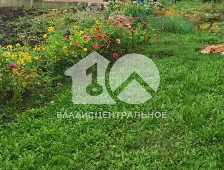 Участок в Новосибирская область, Новосибирск Тополь СНТ, 6-й сектор, ... - Фото 0