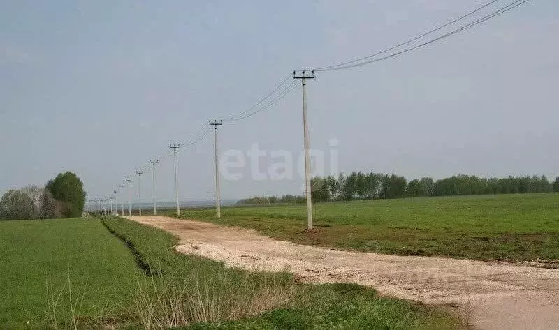 Участок в Московская область, Кашира городской округ, Малеевские ... - Фото 0