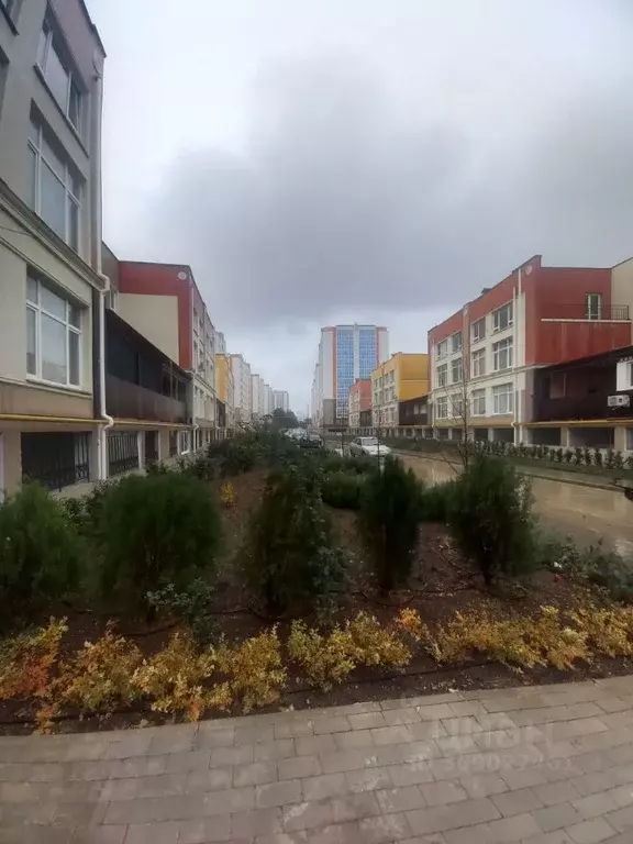 1-к кв. Севастополь ул. Молодых Строителей, 12 (43.3 м) - Фото 0