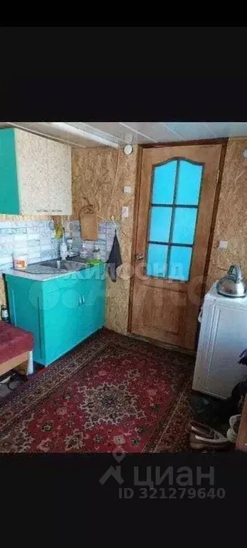 Дом в Хакасия, Алтайский район, с. Подсинее  (49 м) - Фото 2