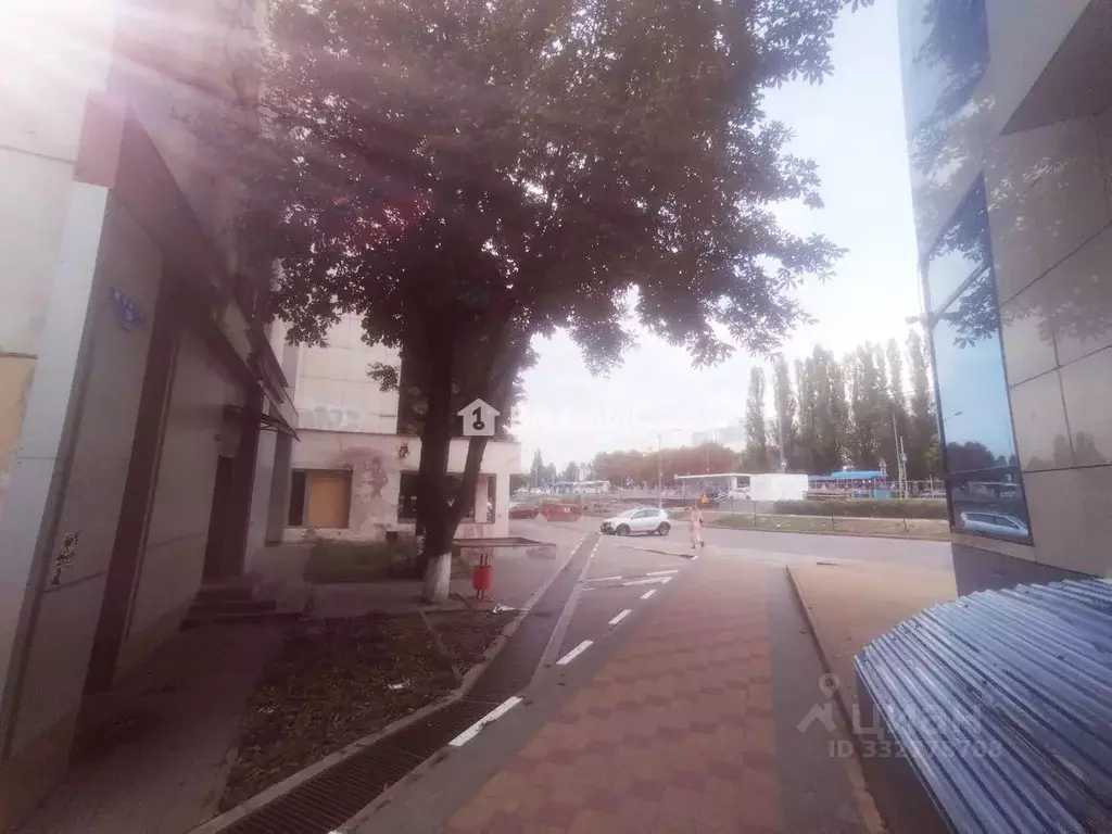 Комната Белгородская область, Белгород ул. Щорса, 26 (29.9 м) - Фото 1