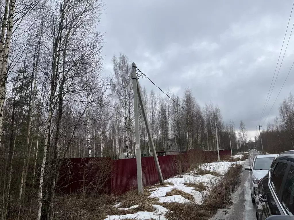 Участок в Ленинградская область, Всеволожский район, Рахьинское ... - Фото 0