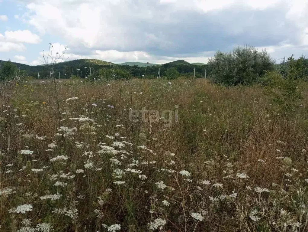Участок в Краснодарский край, Новороссийск городской округ, ... - Фото 1