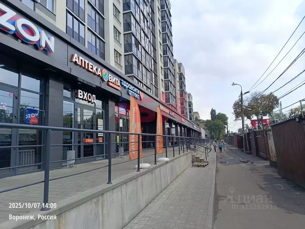 Торговая площадь в Воронежская область, Воронеж ул. Димитрова, 131 ... - Фото 1