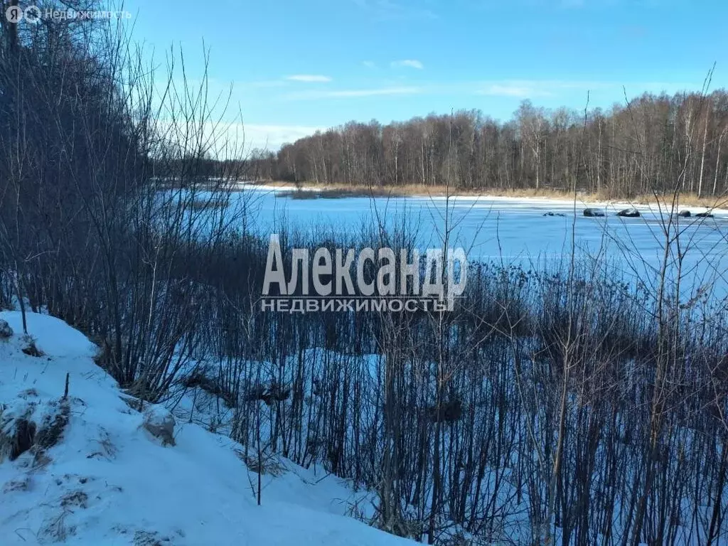 Участок в Ромашкинское сельское поселение, коттеджный посёлок ... - Фото 0