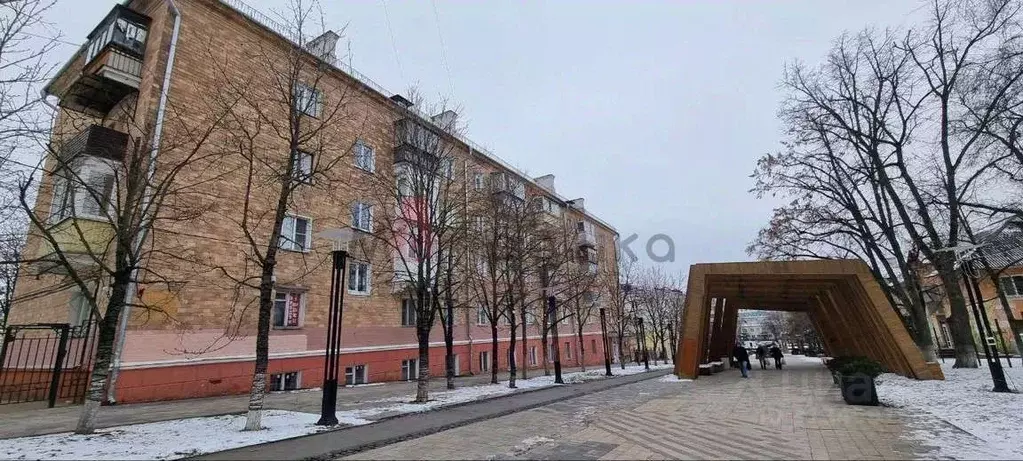 3-к кв. Белгородская область, Белгород ул. 50-летия Белгородской ... - Фото 1