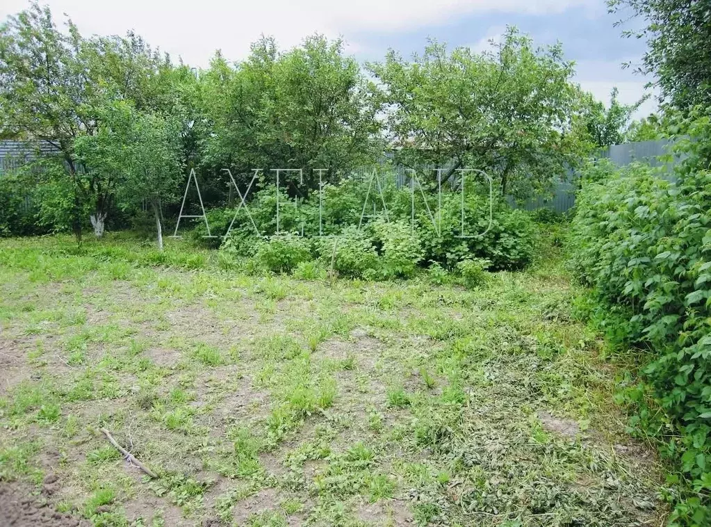 Участок в Московская область, Одинцовский городской округ, д. Лохино ... - Фото 0