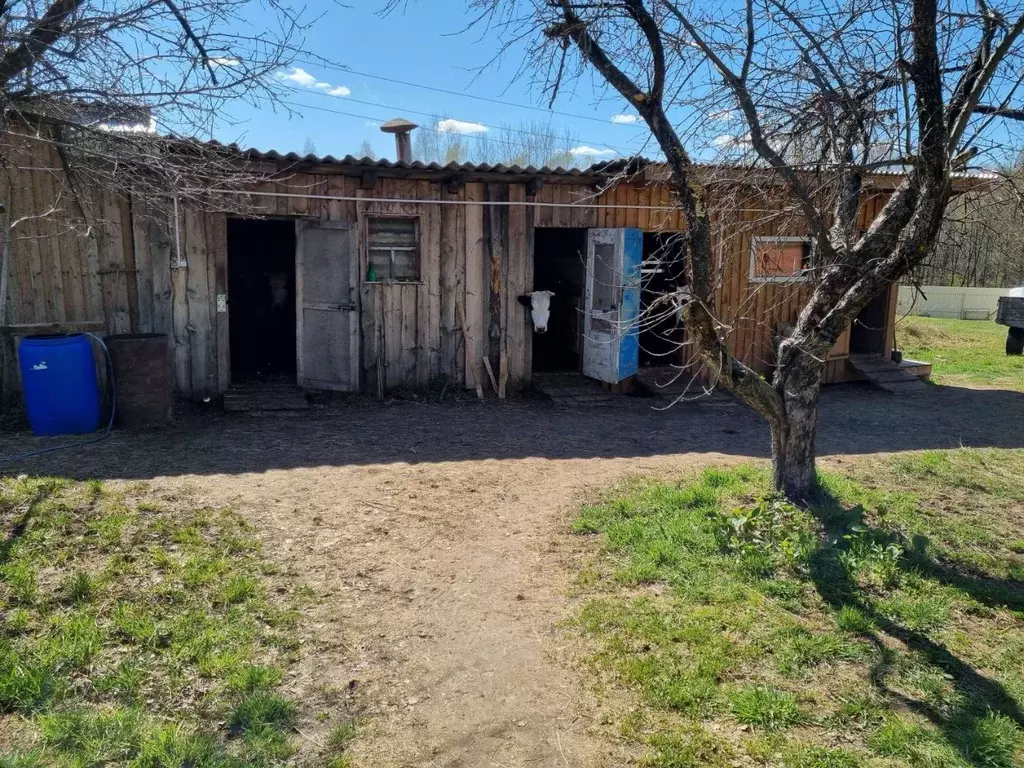 Участок в Нижегородская область, Чкаловск городской округ, с. Белое  ... - Фото 1