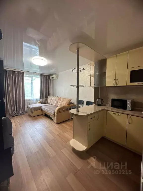 Студия Приморский край, Владивосток ул. Надибаидзе, 28 (24.0 м) - Фото 1