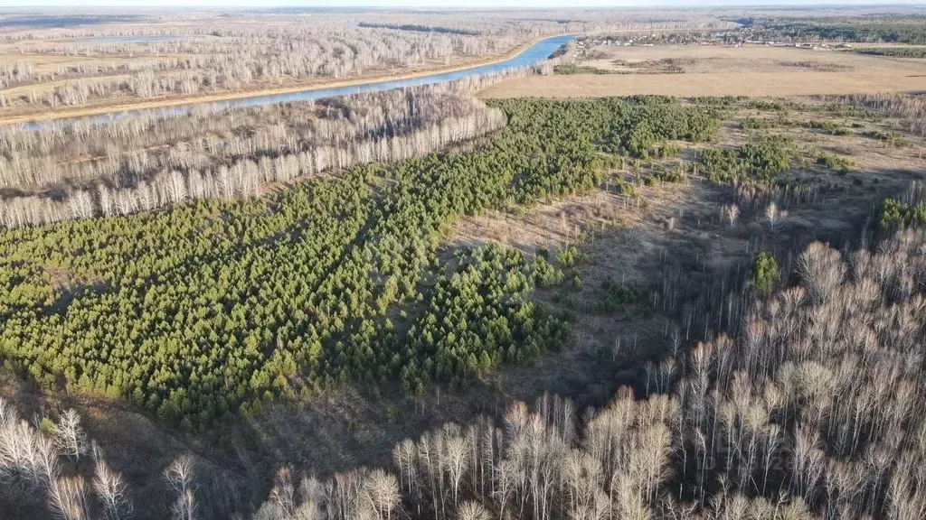 Участок в Тюменская область, Тюменский муниципальный округ, д. Речкина ... - Фото 1