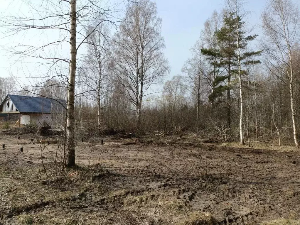 Участок в Ленинградская область, Сясьстрой Волховский район, ул. ... - Фото 0