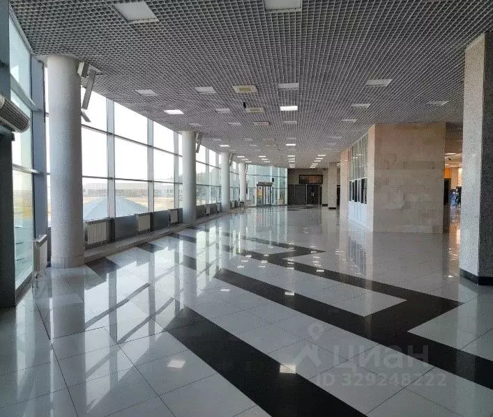 Помещение свободного назначения в Башкортостан, Уфа ул. Менделеева, ... - Фото 1