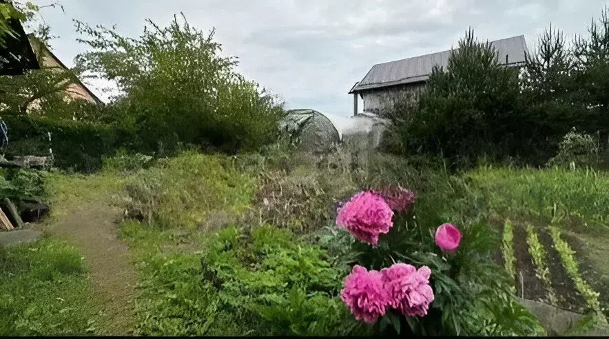 Участок в Калининградская область, Калининград Радуга СНТ, ул. 3-я ... - Фото 1
