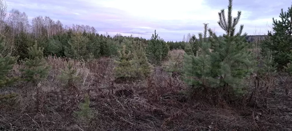 Купить Земельный Участок В Арамиле Свердловской