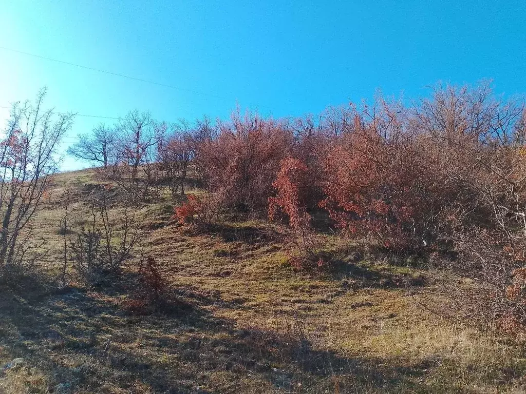 Участок в Крым, Алушта городской округ, с. Малореченское ул. ... - Фото 1