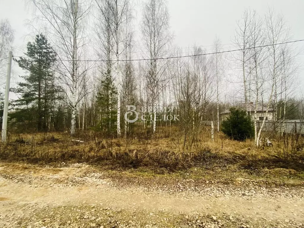 Участок в Владимирская область, Владимир ул. Большая Лукинская, 48 ... - Фото 2