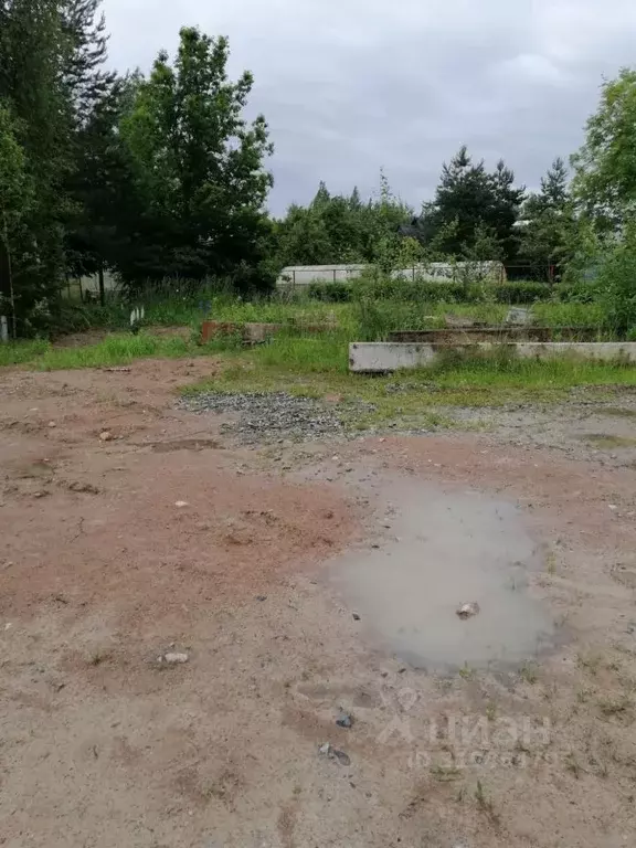 Участок в Ленинградская область, Сосновый Бор Эхо кп,  (10.0 сот.) - Фото 1