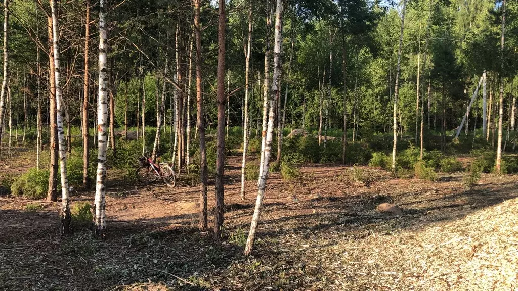 Продается участок в с. Душоново - Фото 2