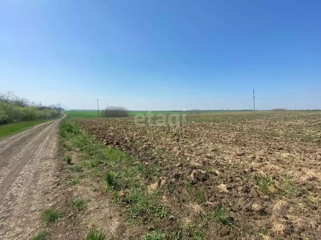 Участок в Краснодарский край, Ейск  (6.0 сот.) - Фото 0