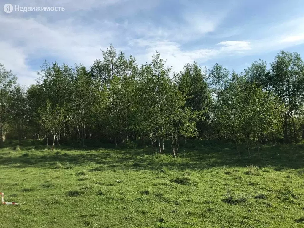 Участок в Калининградская область, Зеленоградский муниципальный округ, . - Фото 0