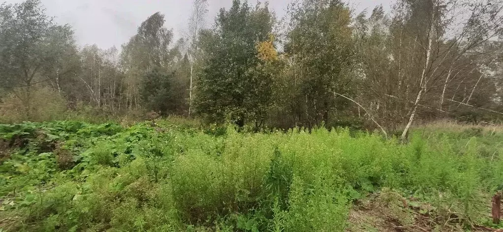 Участок в Московская область, Талдомский городской округ, д. Новая  ... - Фото 1