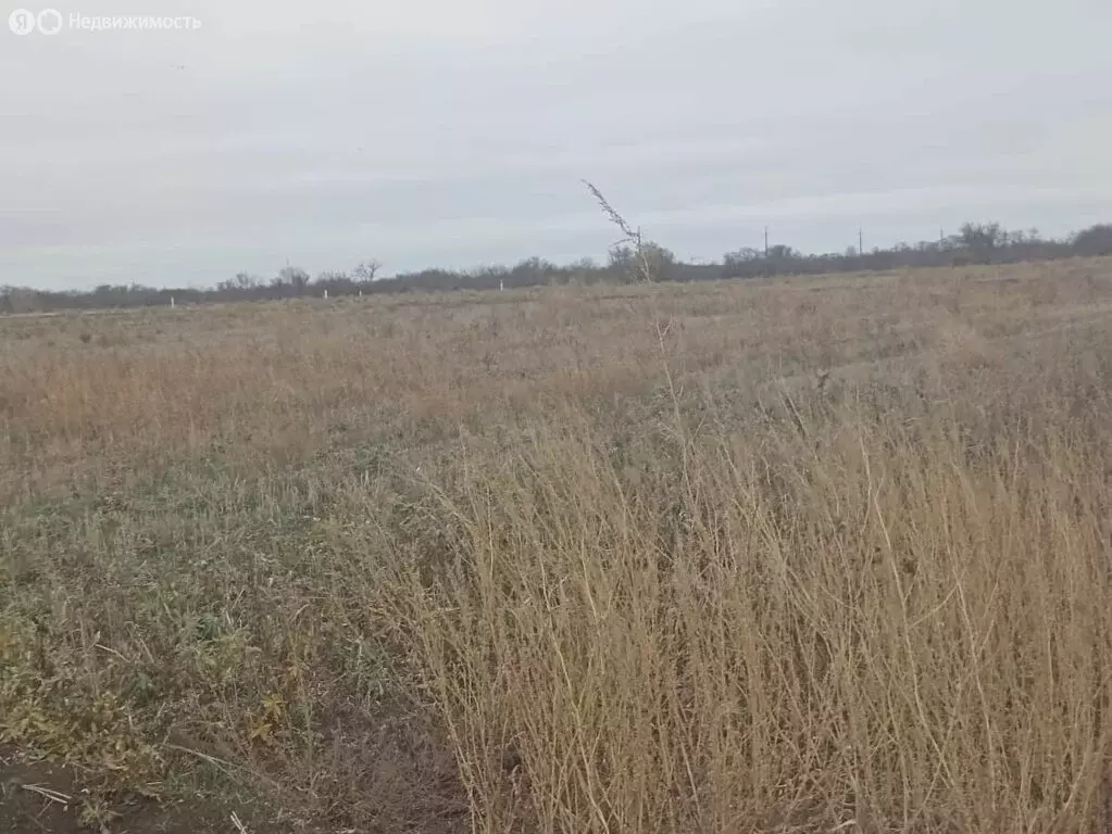 Участок в Краснодарский край, Ейское городское поселение (6.1 м) - Фото 0