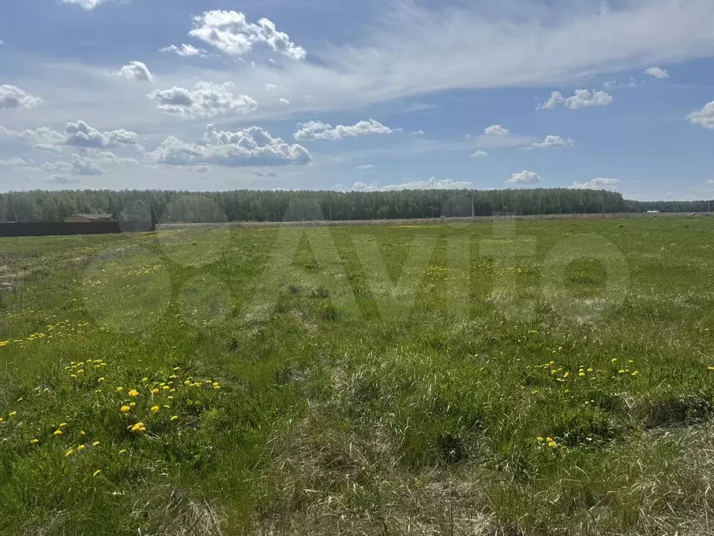Участок 10,8 сот. (СНТ, ДНП) - Фото 0
