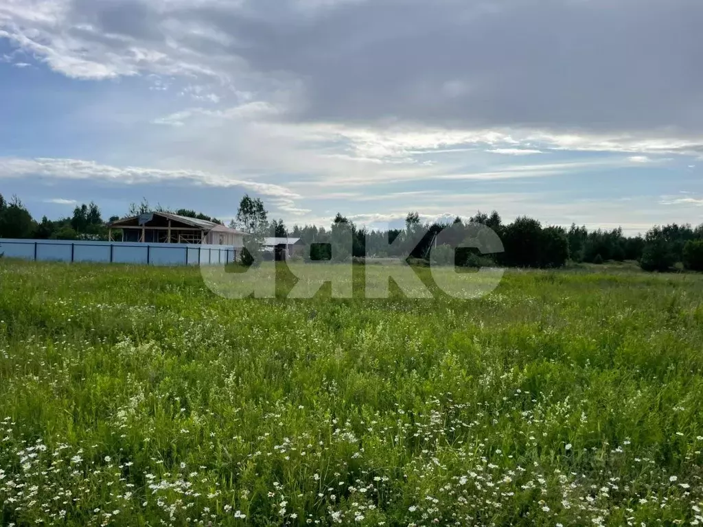 Участок в Московская область, Раменское Дергаево-3 кп, ул. Январская ... - Фото 0