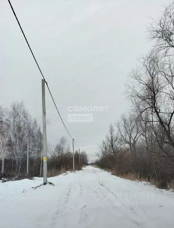 Участок в Тюменская область, Тюменский муниципальный округ, с. Борки  ... - Фото 1