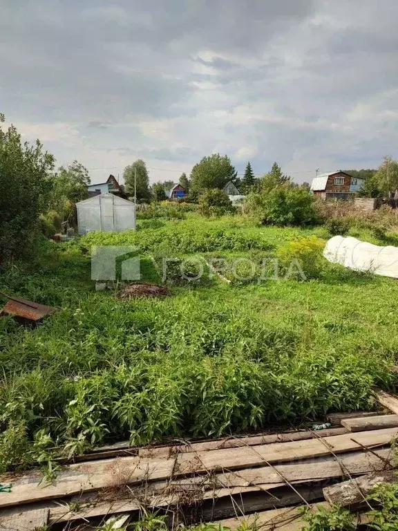 Участок в Новосибирская область, Новосибирский район, Криводановский ... - Фото 2