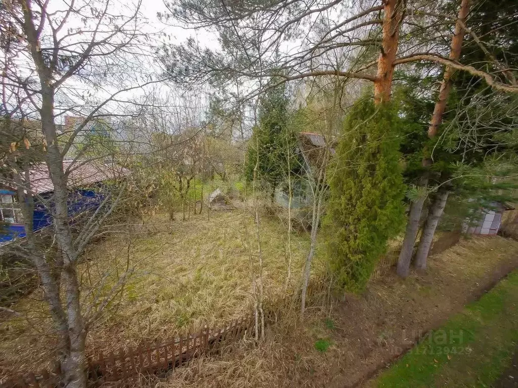 Участок в Ленинградская область, Кировское городское поселение, ... - Фото 1