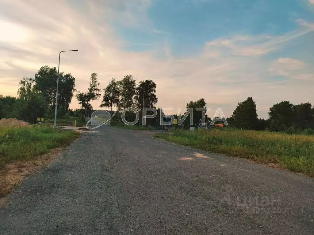 Участок в Тюменская область, Тюменский район, с. Каменка, Подушкино ... - Фото 0