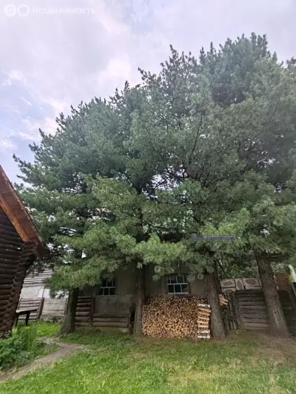 Дом в Алтайский район, посёлок Катунь, Центральная улица (110 м) - Фото 2