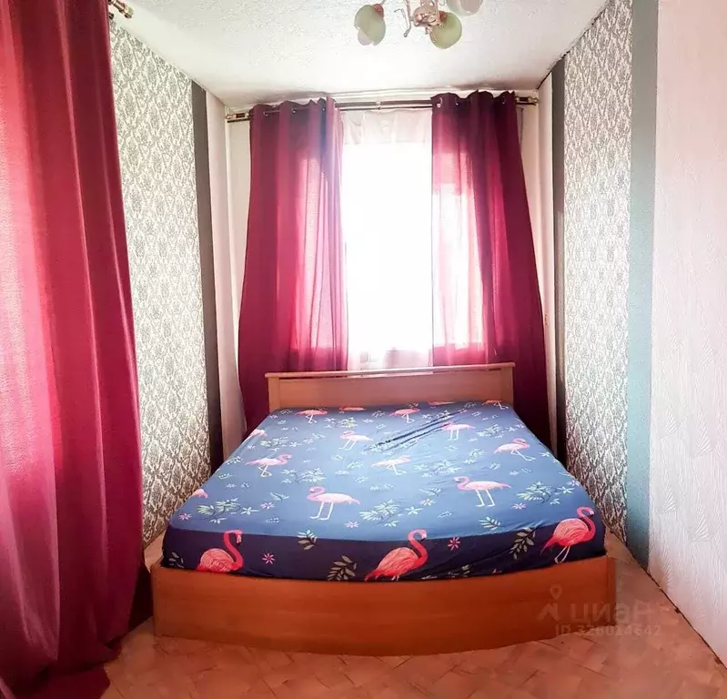 2-к кв. Хабаровский край, Хабаровск ул. Дикопольцева, 76 (50.0 м) - Фото 1