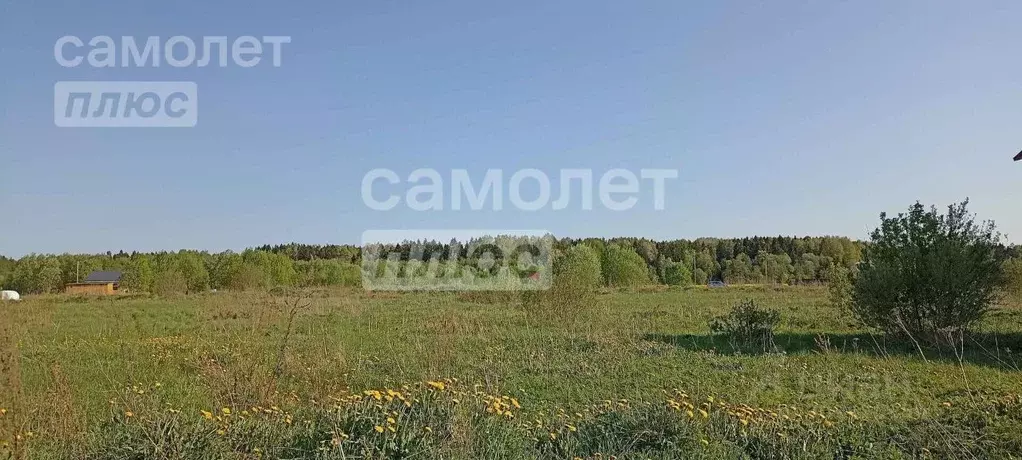 Участок в Ленинградская область, Тосненский район, Любанское городское ... - Фото 1