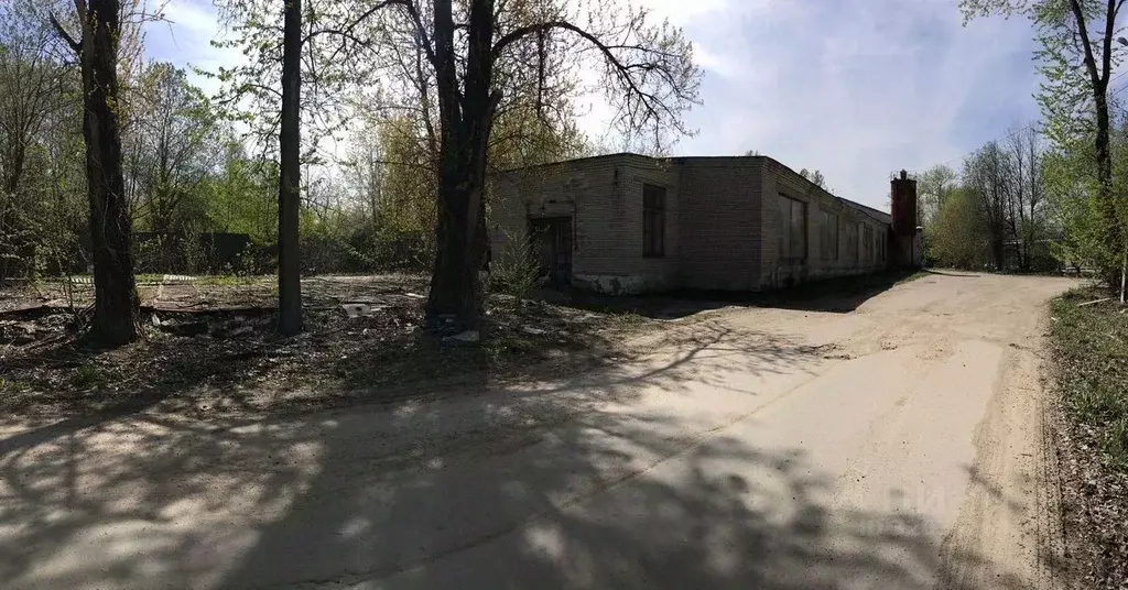 Производственное помещение в Ленинградская область, Никольское ... - Фото 1