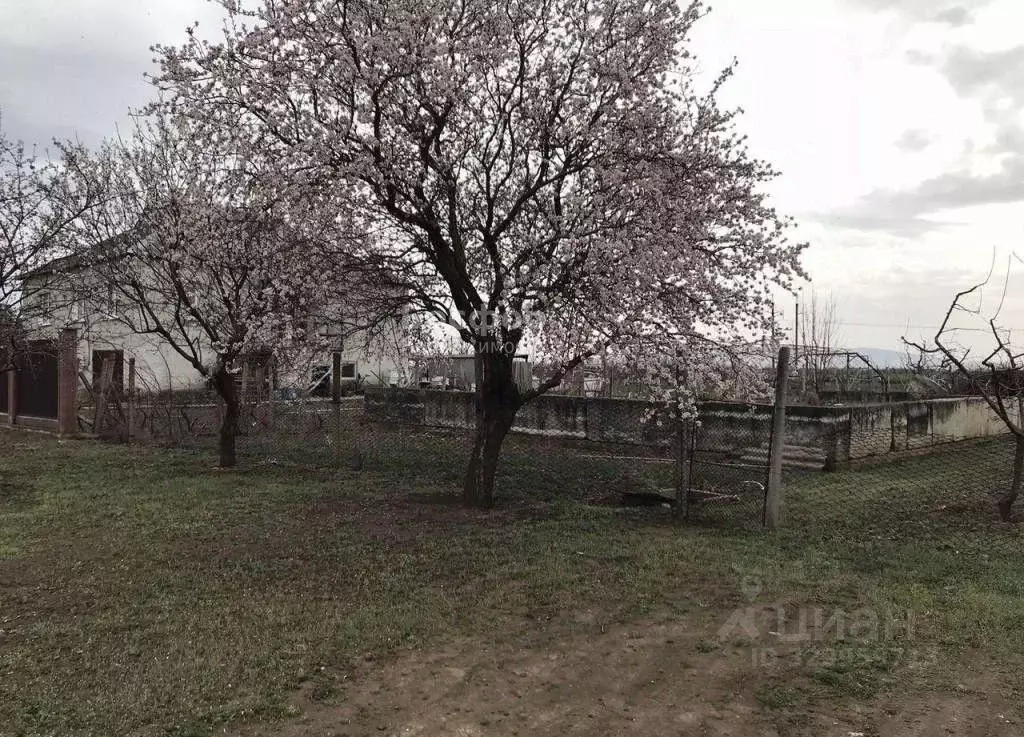 Участок в Крым, Советский район, с. Пушкино ул. Советская (25.0 сот.) - Фото 1