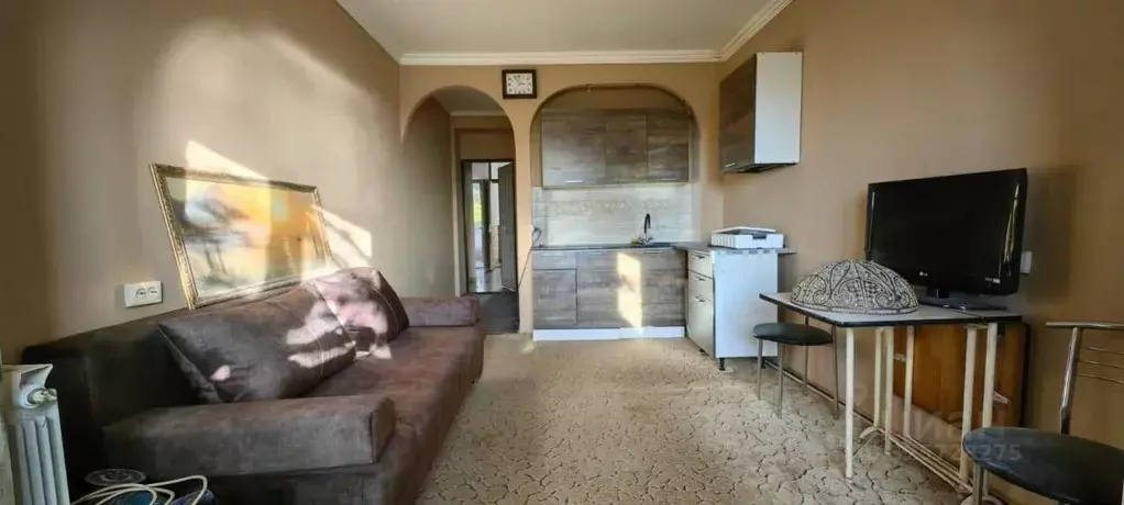 Студия Краснодарский край, Сочи Адлер жилрайон, ул. Голубые Дали (18.0 ... - Фото 2