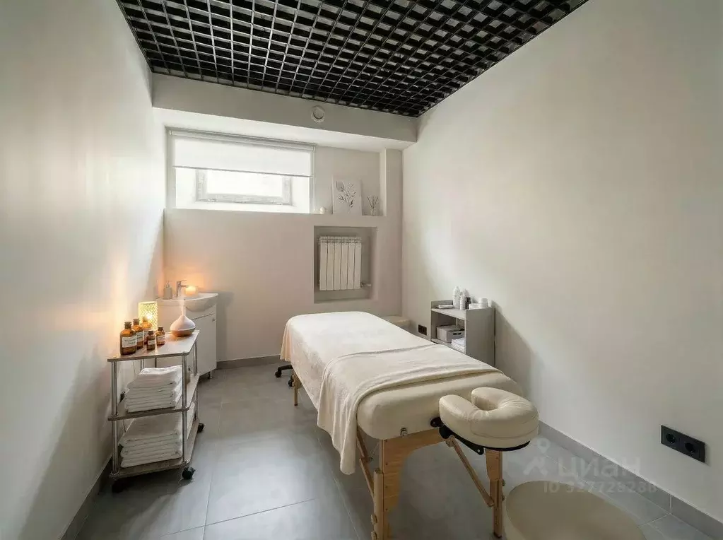 Помещение свободного назначения в Москва Вадковский пер., 24/35С1 (10 ... - Фото 1