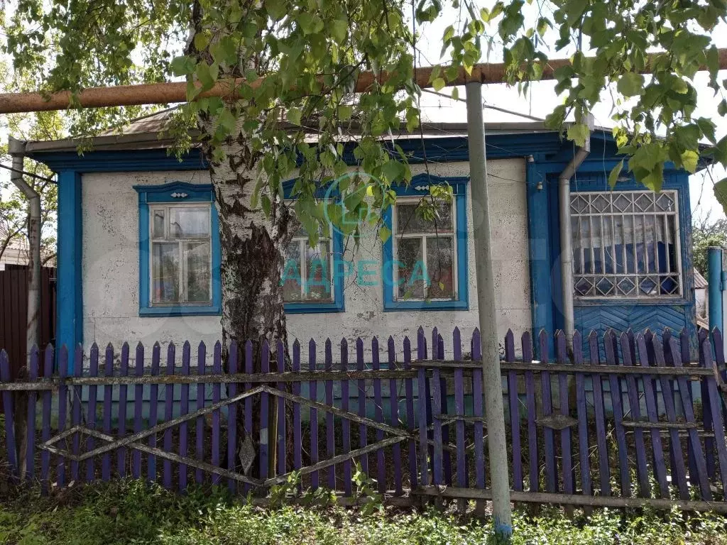 Дом 66,4 м на участке 44 сот. - Фото 0