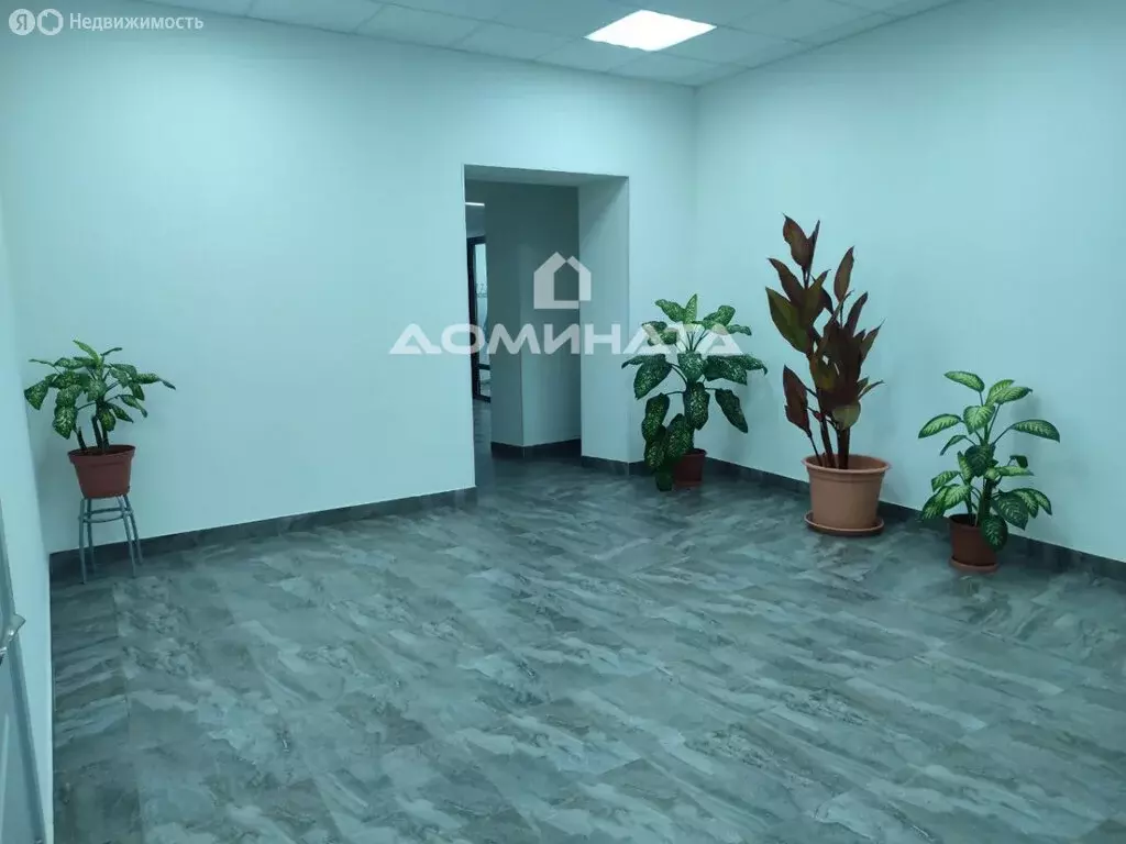 Помещение свободного назначения (15 м) - Фото 1