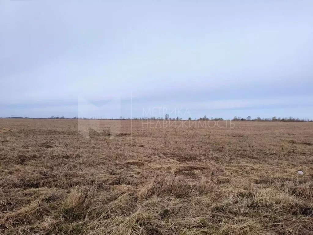 Участок в Тюменская область, Тюмень Центральная пл. (7.0 сот.) - Фото 1