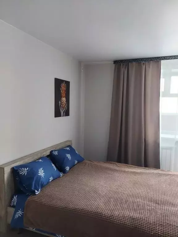 Студия Амурская область, Благовещенский район, с. Чигири ул. ... - Фото 1