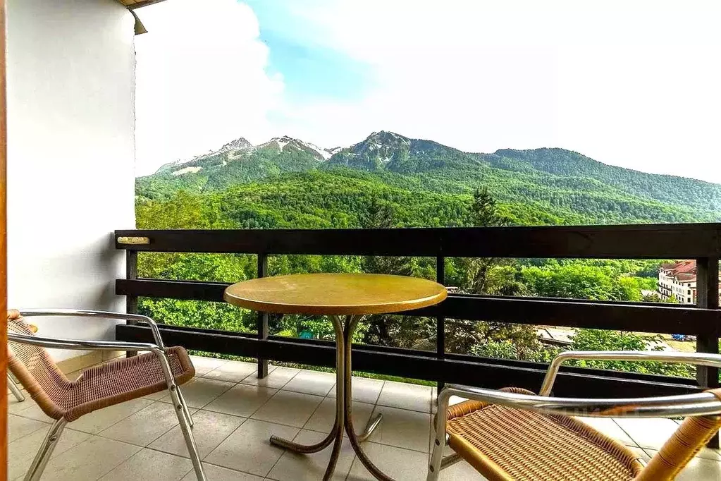 1-к кв. Краснодарский край, Сочи Красная Поляна пгт, ул. Калиновая, ... - Фото 1