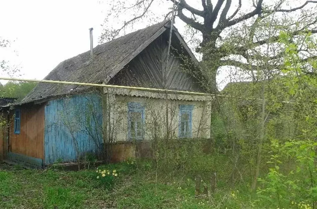 Дом в Мордовия, Кадошкинский район, пос. Инсар (43.0 м) - Фото 0