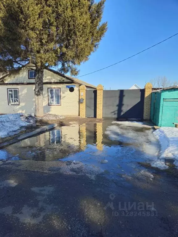 Дом в Омская область, Любинский район, Красный Яр рп Советская ул. (97 ... - Фото 2